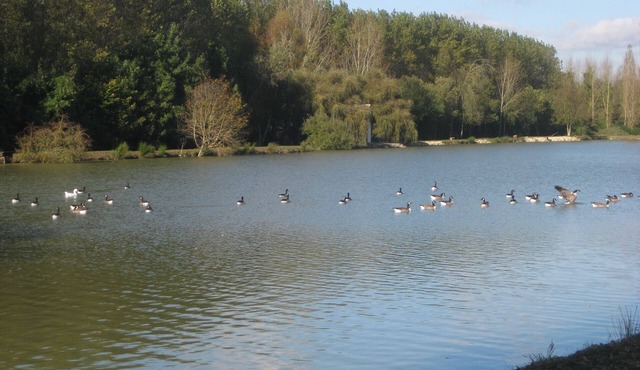 Elegant cottage in a 8 ha park with lake, toys/swing set/ping pong .Paris 80km