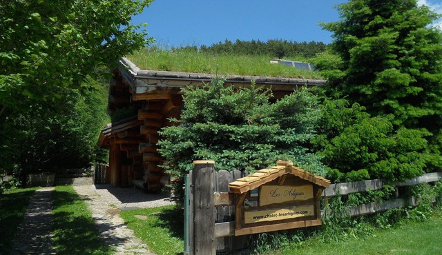 environment friendly log home