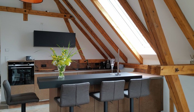 Exclusive studio apartment with roof terrace and view of the Veste in the Cortendorfer Stadel in Coburg