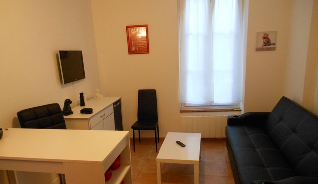 F1 furnished downtown near Fontainebleau Buthiers .