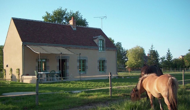 Fine holiday home in the surroundings of Vitry-aux-Loges near large swimming lake