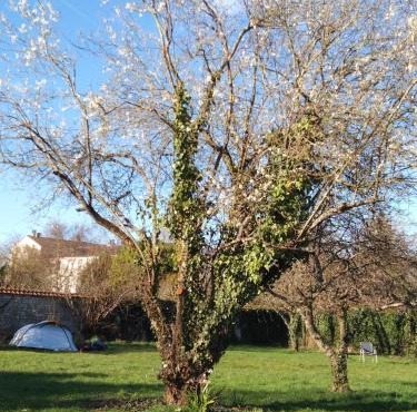 Fontaineblhostel hostel & camping near Fontainebleau