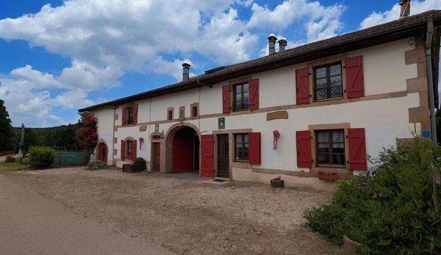Gîte authentique avec terrasse couverte, 16 km de Gérardmer, 4 chambres, équipement bébé, Wi-Fi inclus - FR-1-589-231