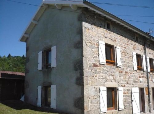 Gîte confortable, animaux admis, proche ski et randonnées - FR-1-496-199
