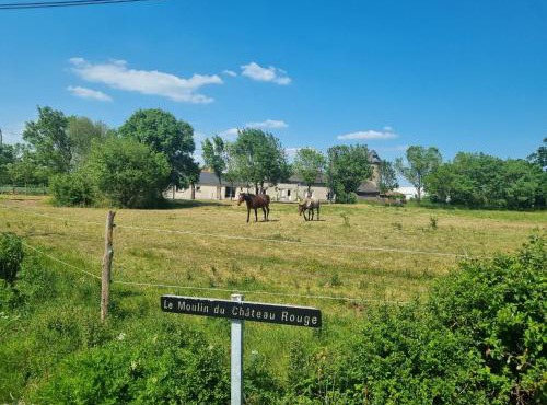 Gîte de 4 chambres - Ancenis A11 - Logis du Château Rouge