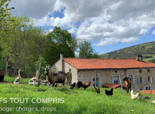 Gîte de charme avec boiseries, cheminée et jardin fleuri à Sauvain - FR-1-496-315
