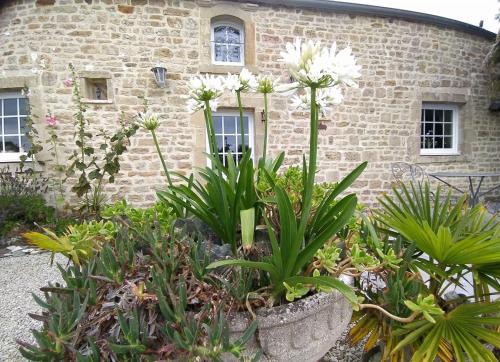 Gîte La Bourgetterie Fontenay sur Mer