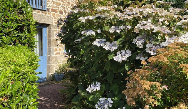 Getaway: High-Quality Traditional Breton Cottage in Gomené—WREN, 1 Bedroom