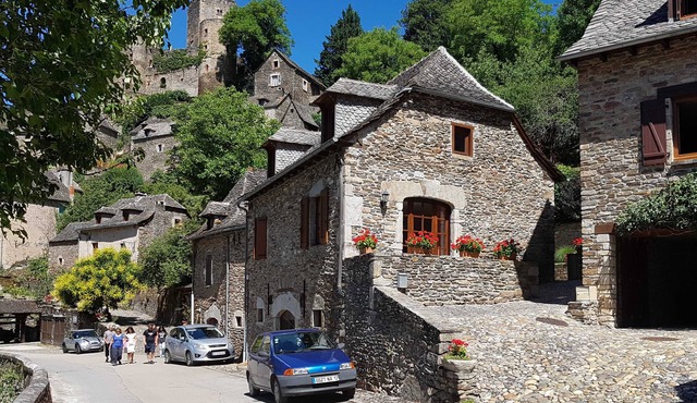 Gite Belcastel - In One Of The Most Beautiful Villages In France - Aveyron