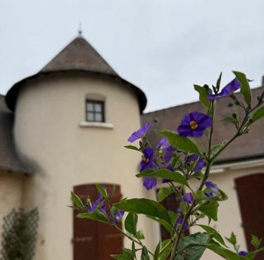 Grande Maison à Vendome