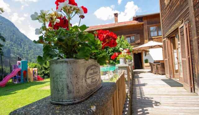 Helmreich by Interhome in Sankt Gallenkirch