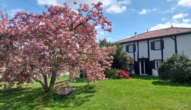 Holiday Home 'Bienvenue À La Maison' with Private Terrace, Garden & Wi-Fi