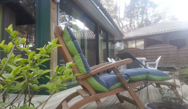 Holiday Home Under the Pines with Shared Pool, Private Terrace, and Wi-Fi