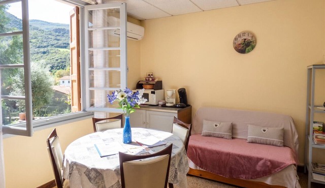 Homerez - Apartment Arles-sur-Tech