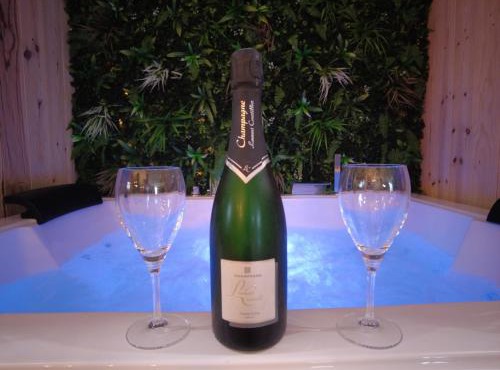 HOTEL DU BERRY - Loveroom avec Sauna, Hammam, Jacuzzi privatifs