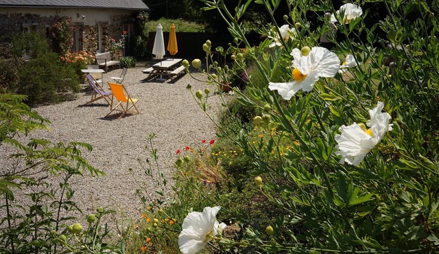 House with character, terrace, garden, 5000 sq.m, 10 min from beaches and parks