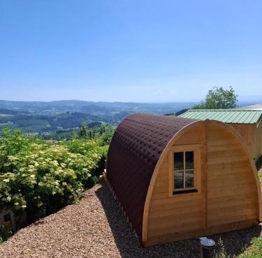 Houx POD