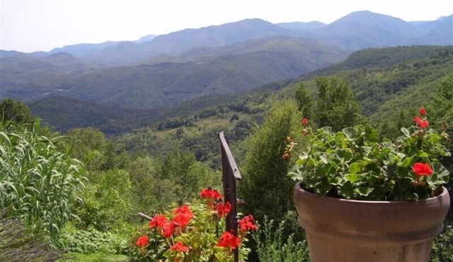 IN MONTFERRER NOT ARLES! FARMHOUSE STUDIO APPARTEMENT WITH A VIEW TO LIVE FOR !