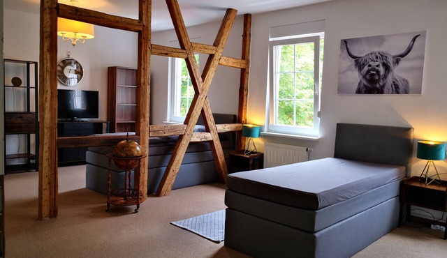 IN THE KASTANIENALLEE Spacious apartments in the city center in Gotha