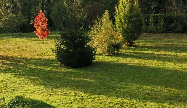 In the Pays d'Olmes