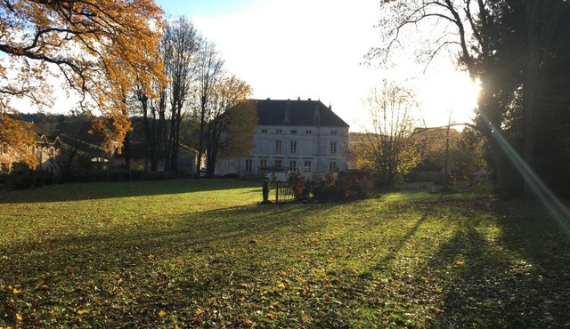Joie de Vivre