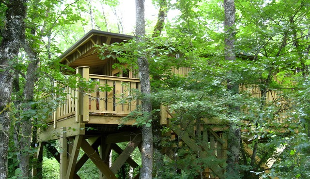 Jurassic Treehouse Lodge: A Unique Nature Adventure in France