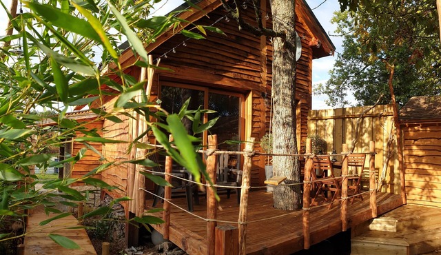 Kabanéo - Gîte et Sauna- Samois sur Seine - Forêt de Fontainebleau