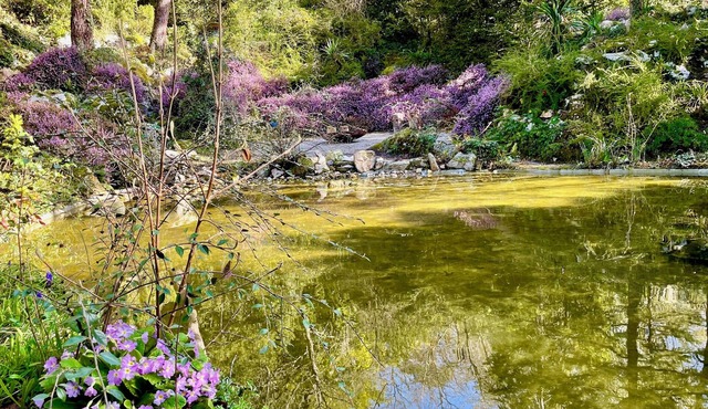 L'Autre Paradis, Natural Pools, Beaches, Enchanted Garden, Sauna