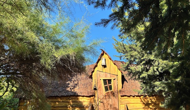 La Cabane Magique Des Fichettes