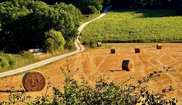 La Grande Rossignol: Swimming pool, spacious rooms & private bath in Occitanie.