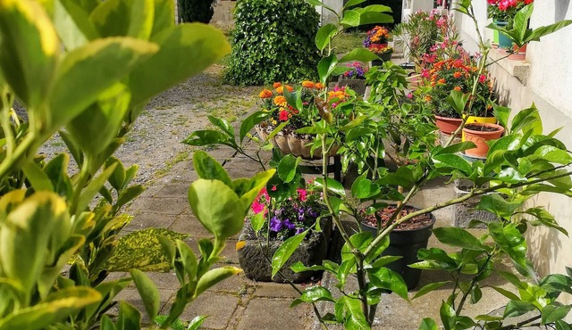 La Maison D'odette 3-star Furnished Accommodation Auvergne/Puy de Dôme.