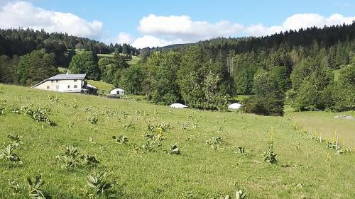 La Petite Echelle