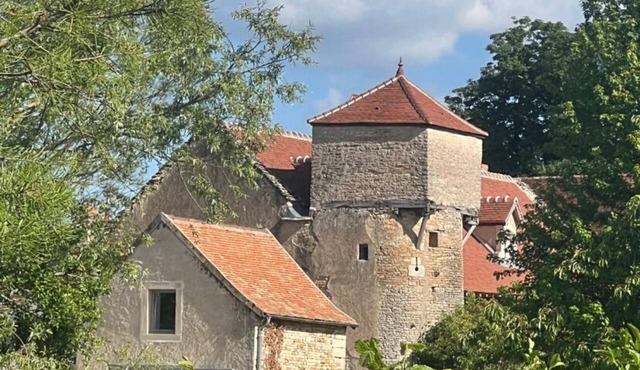 La Tour Chapaize - Maison de charme de 300m2 avec piscine.