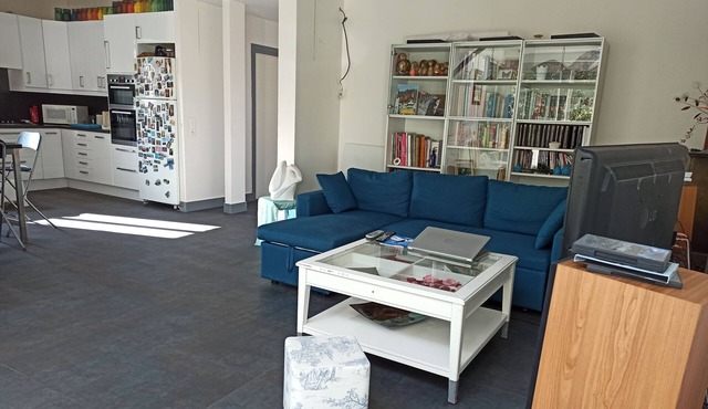 Large apartment in small condominium