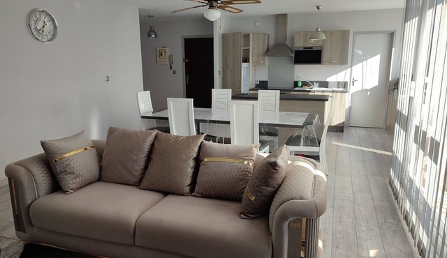 Large superb apartment near Paris