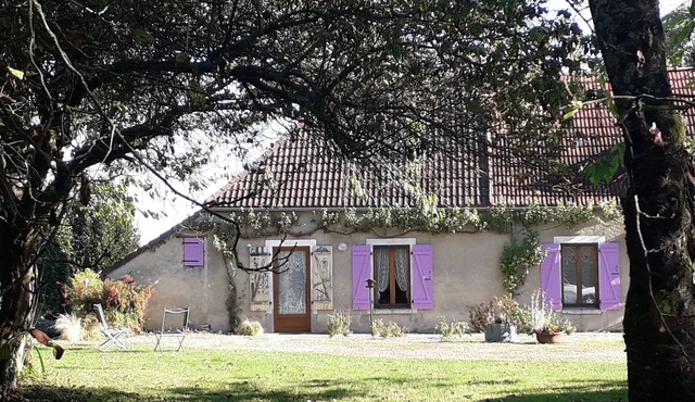 Lavender shutters