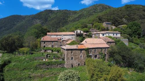 Le Châtaignier
