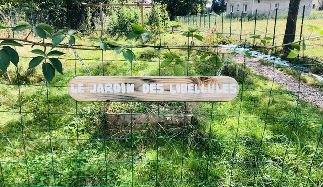 Le jardin des libellules