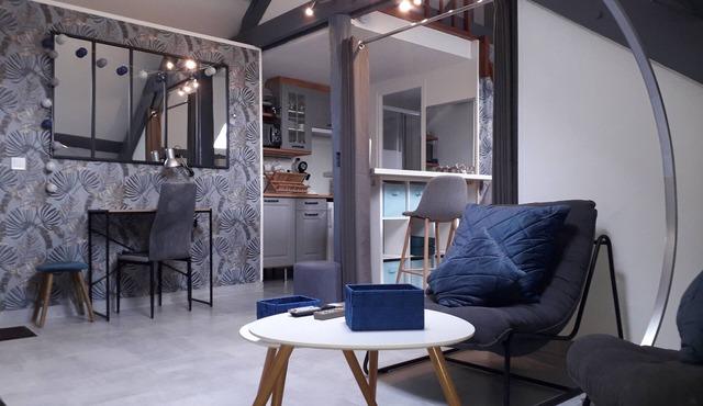 Le Mini Loft * La Suite, Montargis.