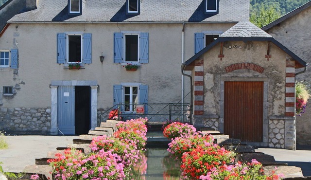 Le Moulin d'Arudy *: historic house on the canal and its washhouses