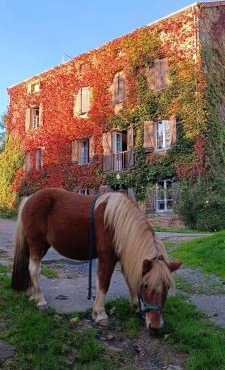 Le moulin de vaux