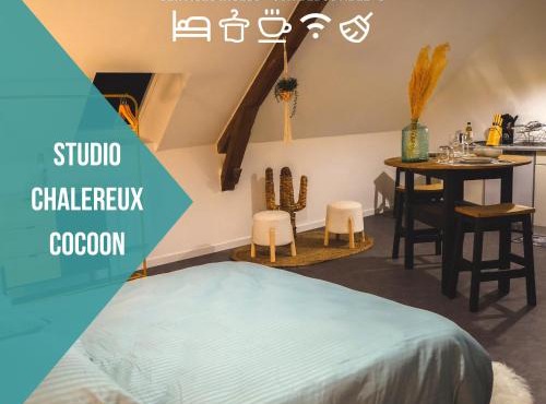 Le Nid Cocoon Netflix Proche Centre-Ville
