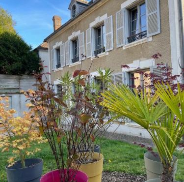 Le Petit Monde de Molly