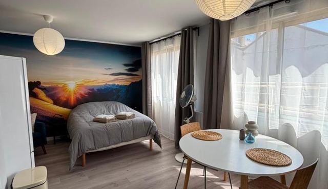 Le Skieur - Studio Cosy au coeur de Grenoble