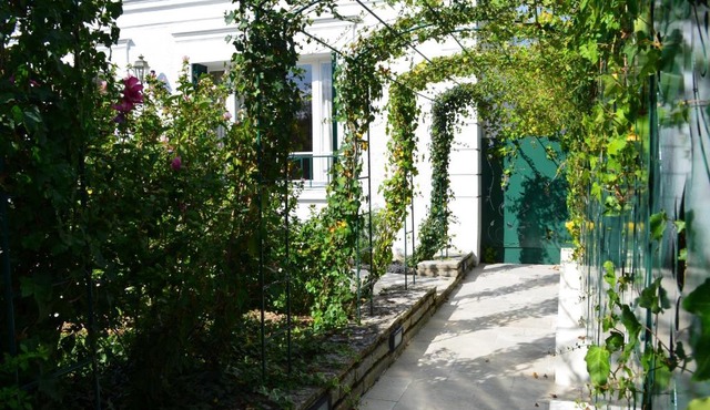 les Bulles d'Iris
