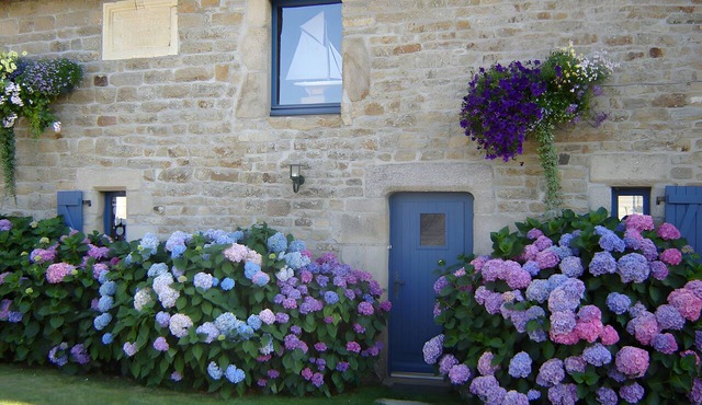 Les Hortensias: Characterful 17th-Century House 300m from the Sea