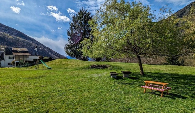 Les Narcisses - Cier-de-Luchon