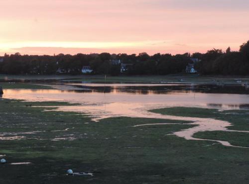 Les toiles de mer