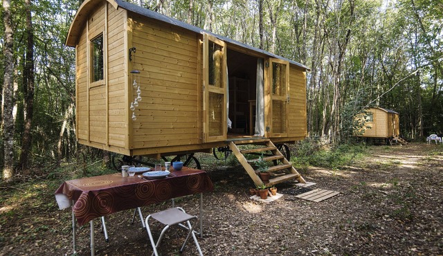 Lovely 2-Bed shepherds hut in a Forest