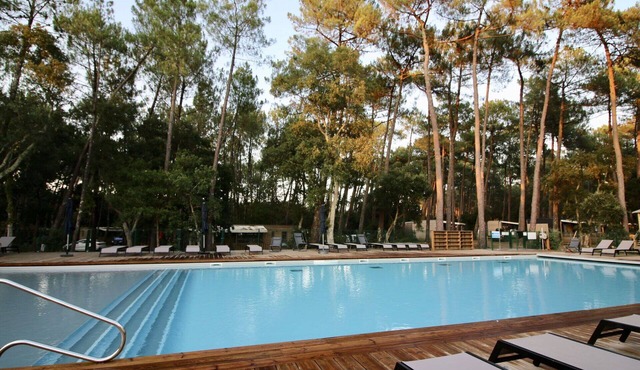 Lovely apartment in villa for 4 people with pool, WIFI, A/C, TV, terrace and pets allowed in Ondres